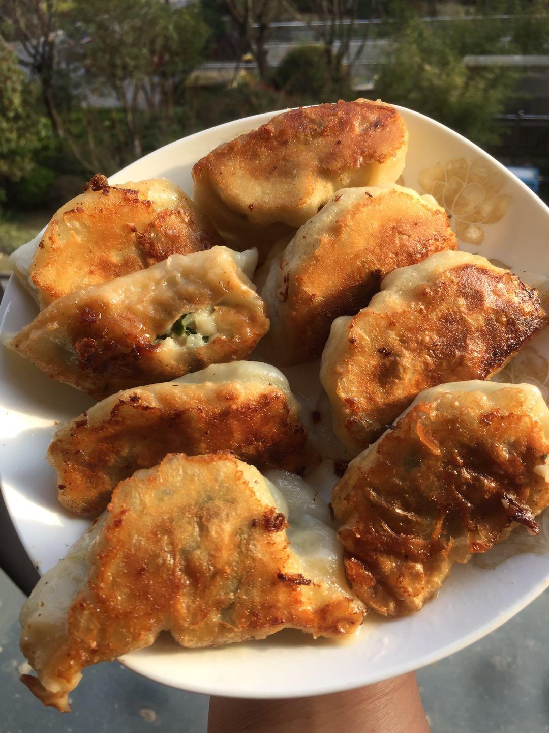 金猫咪食堂-黄金猪仔饺
