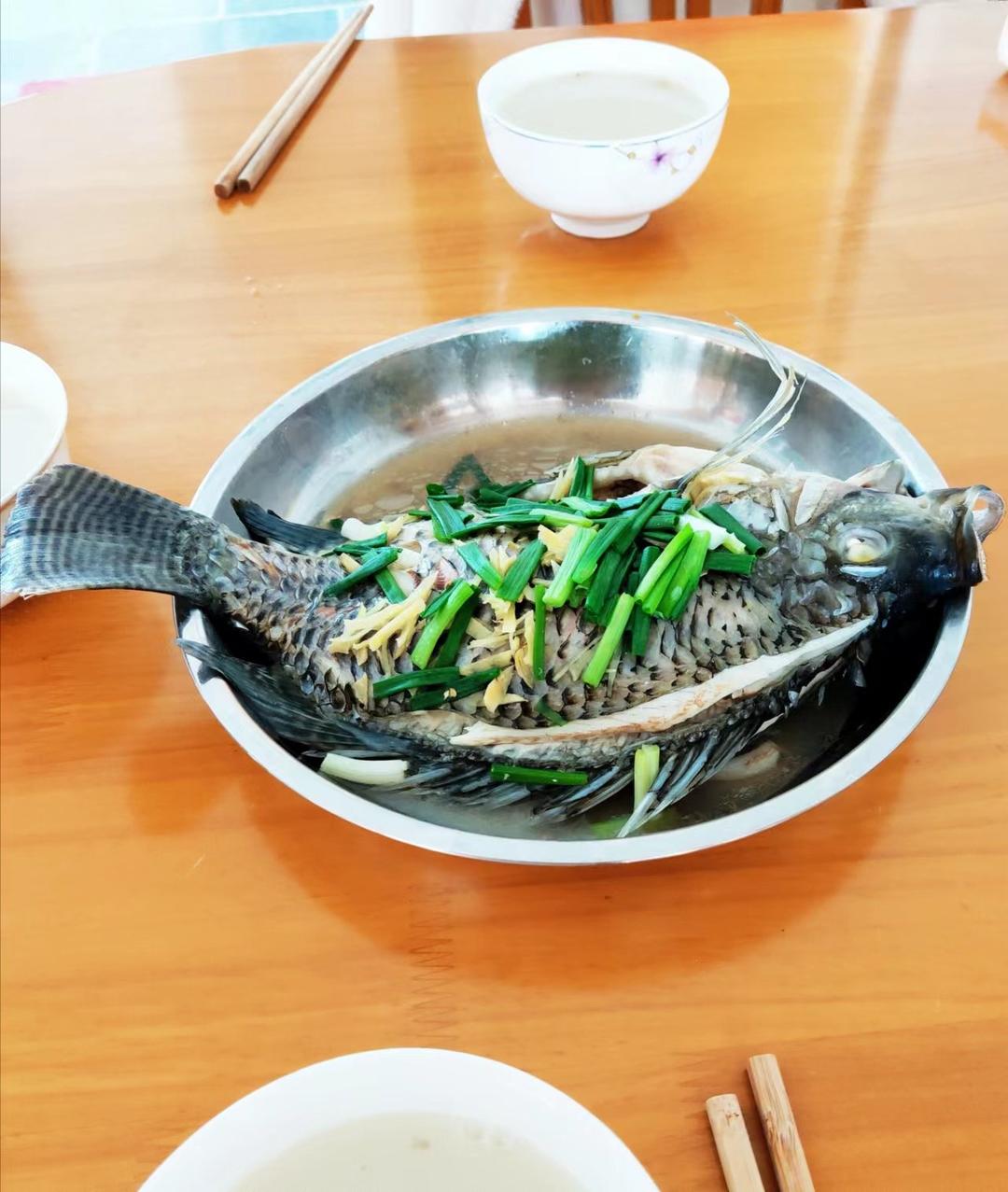 清蒸黄花鱼🐟六月鲜轻盐松茸酱油 秘♨️不腥特鲜嫩