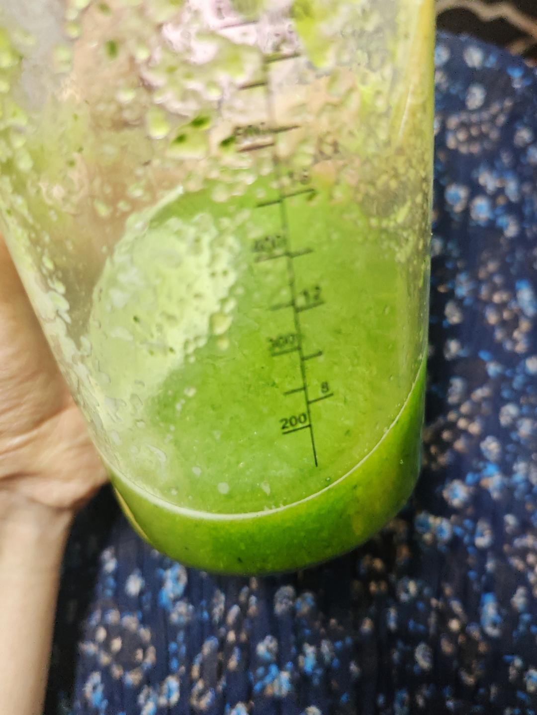 减肥果蔬汁|黄瓜苦瓜芹菜穿心莲汁