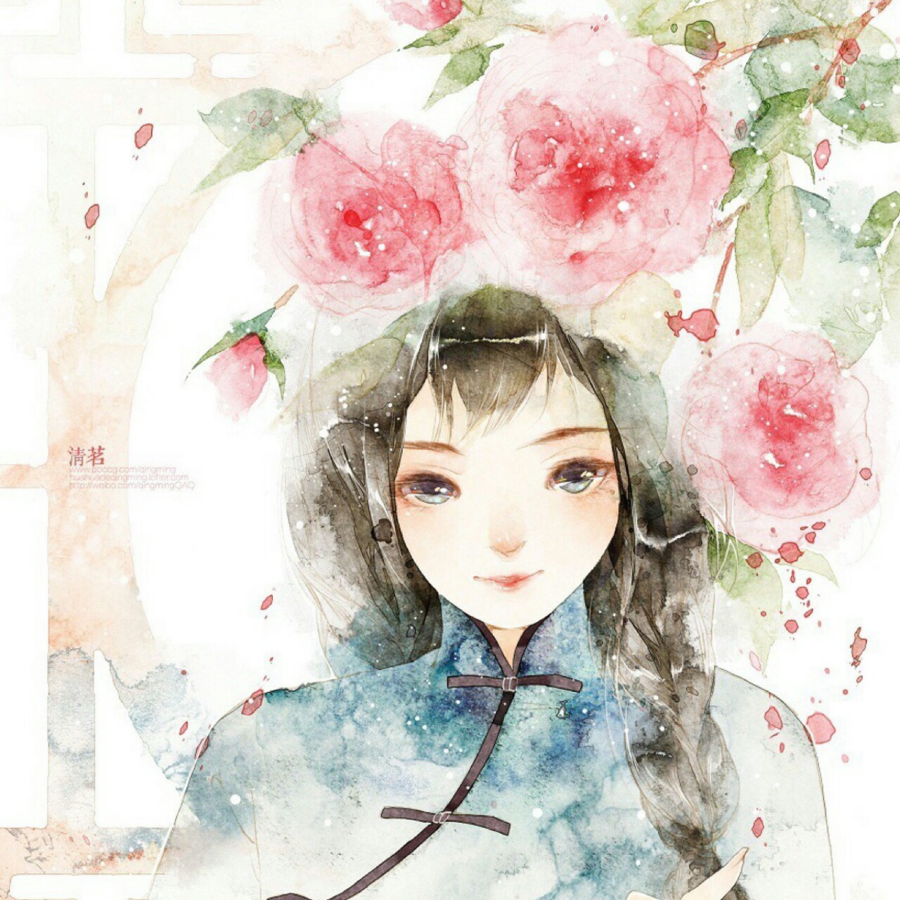 自由的白鸽