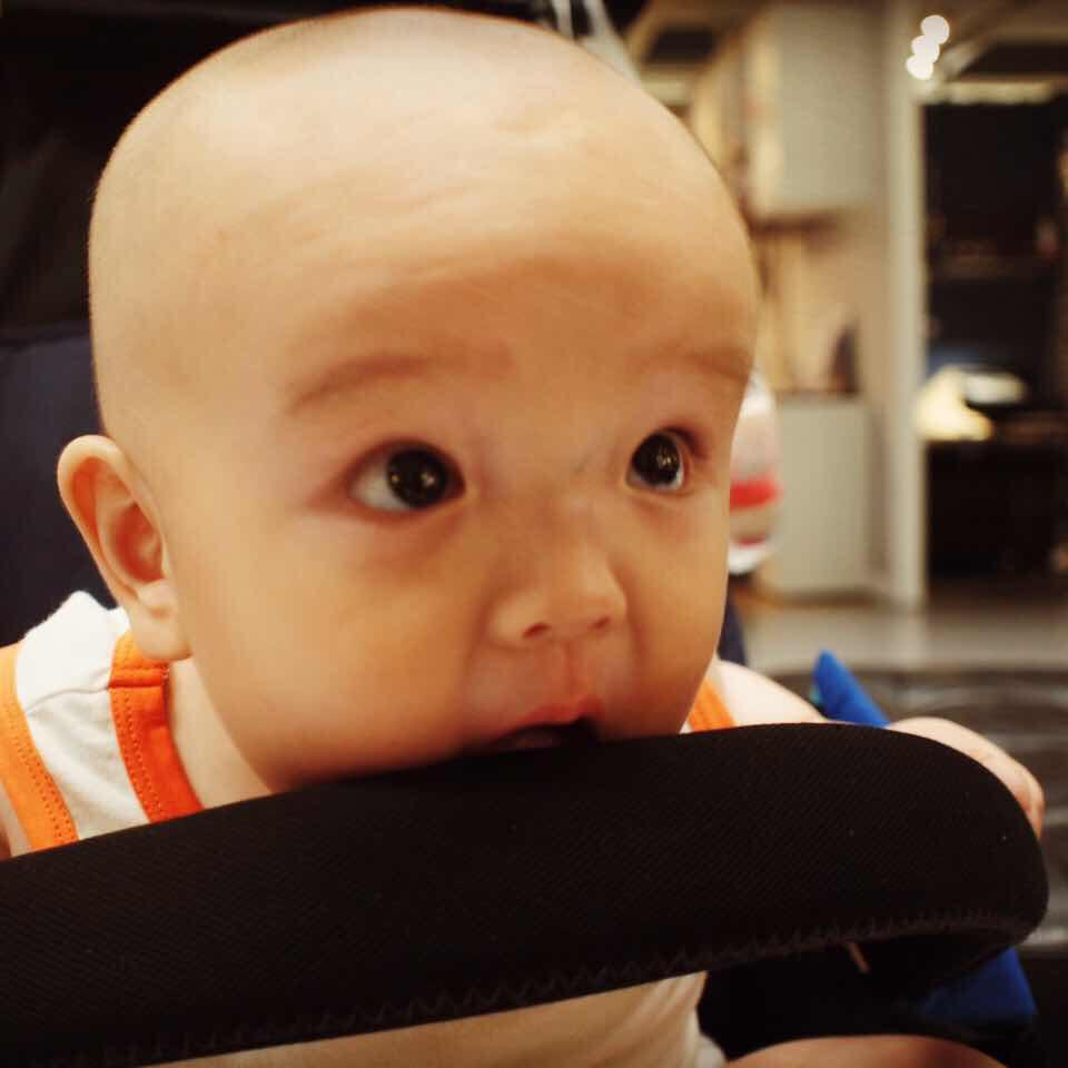 阳姐儿