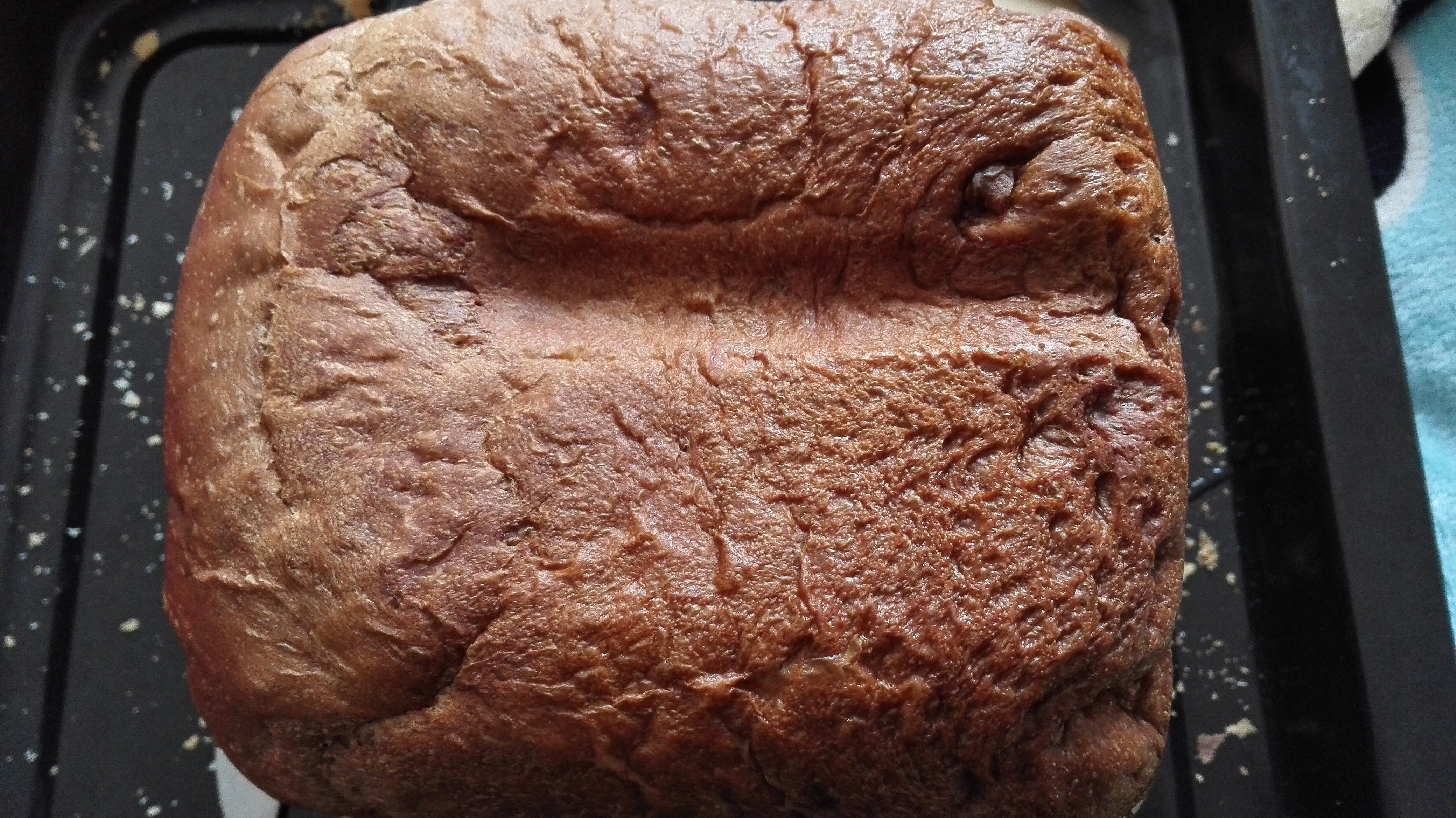 提子土司（柏翠面包机PE6280）自用方子