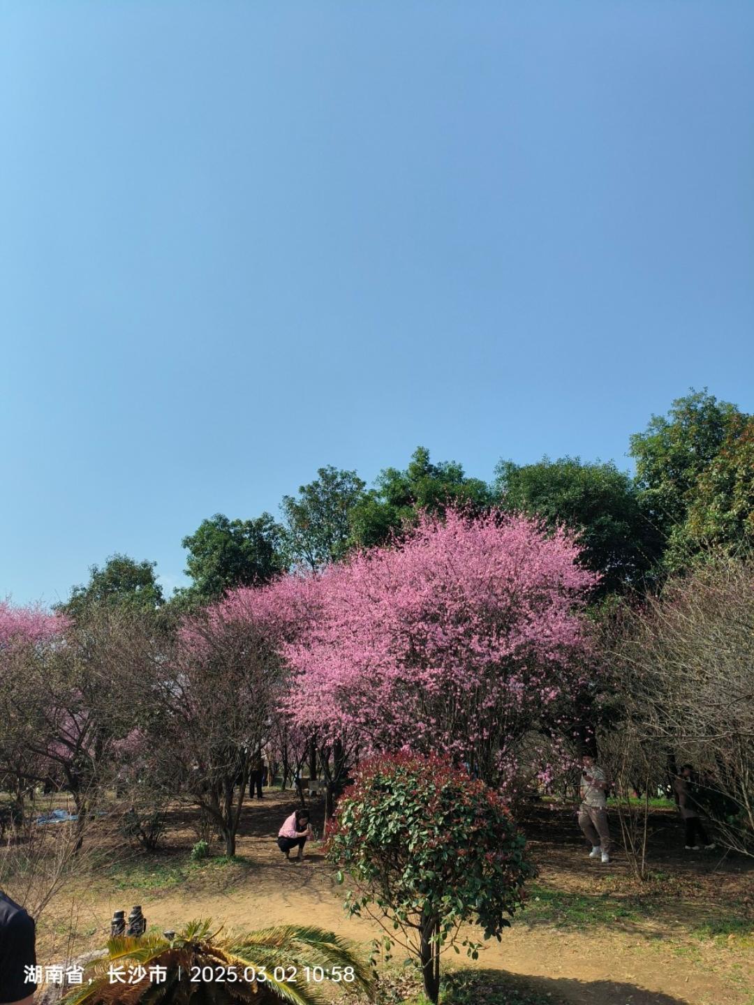 圆圆妈的美食日记