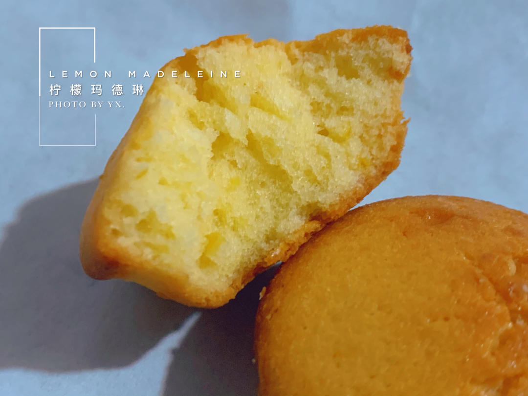 《Tinrry+》柠檬玛德琳