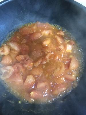 配什么都好吃的番茄牛腩BRUNO锅篇的做法 步骤12