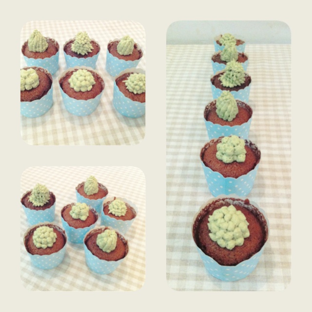 多肉植物仙人球杯子蛋糕（抹茶草莓可可cupcake）