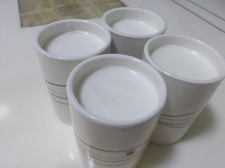 自制酸奶的做法