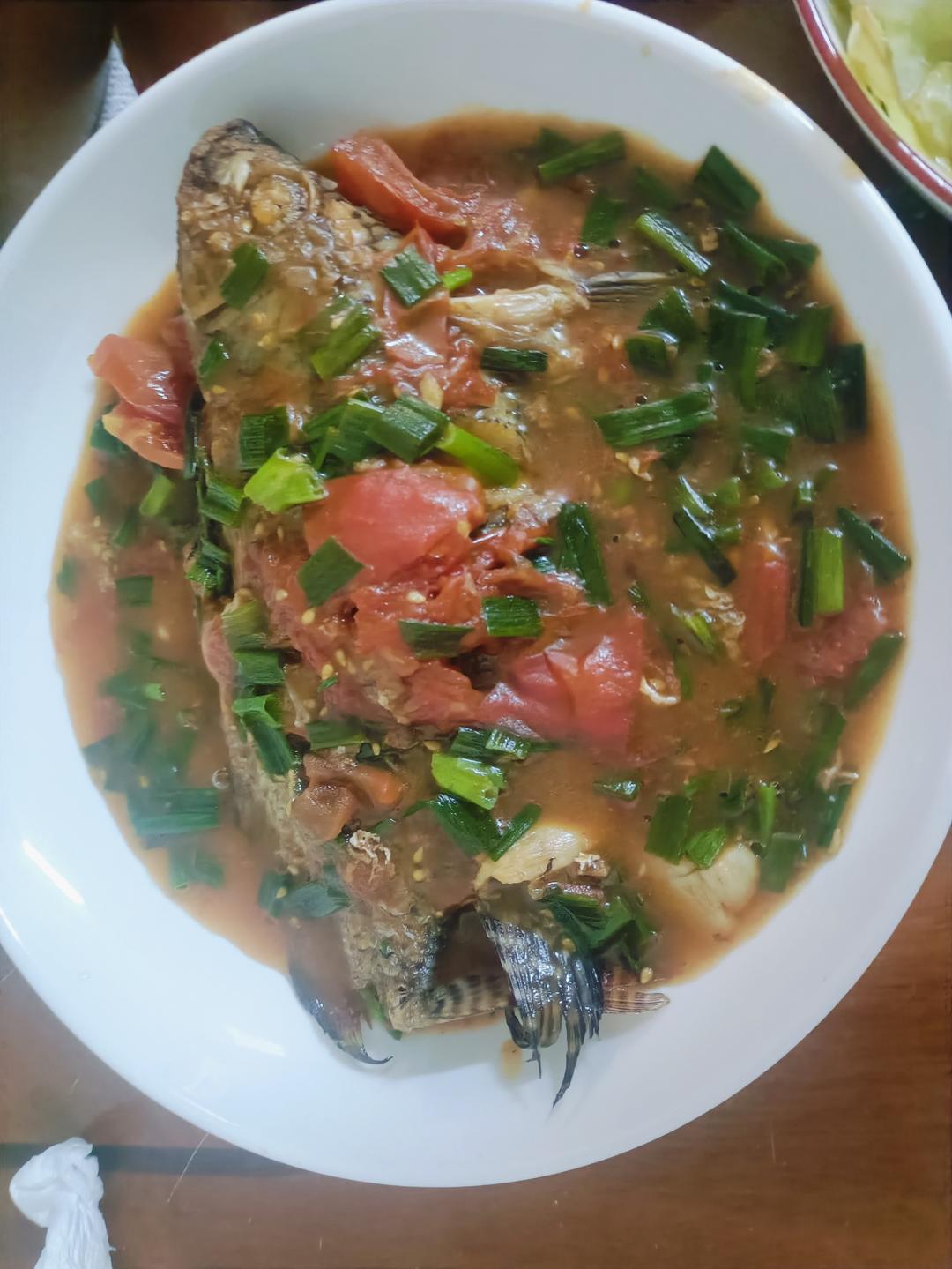 番茄🍅红烧罗非鱼