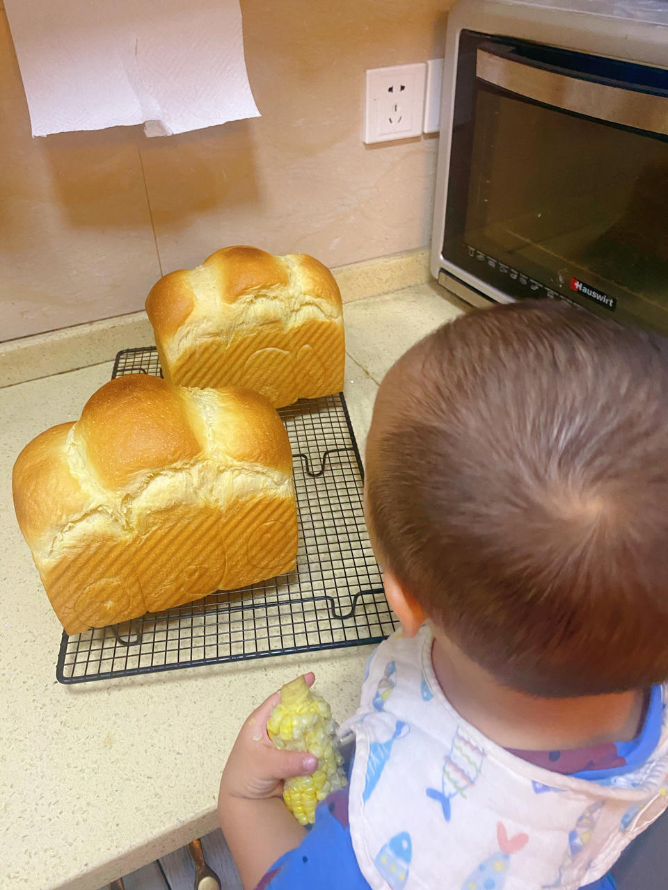 波兰种奶油吐司