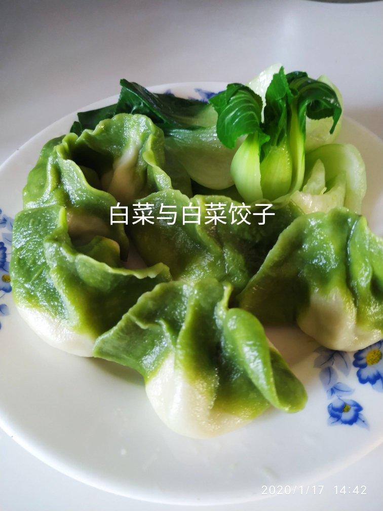 翡翠白菜饺