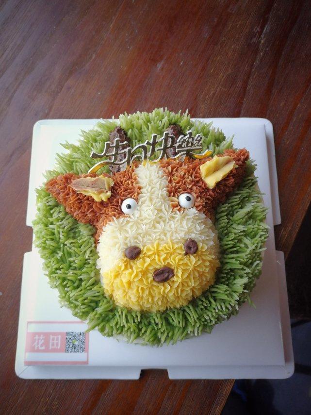 蝴蝶眨几次眼睛