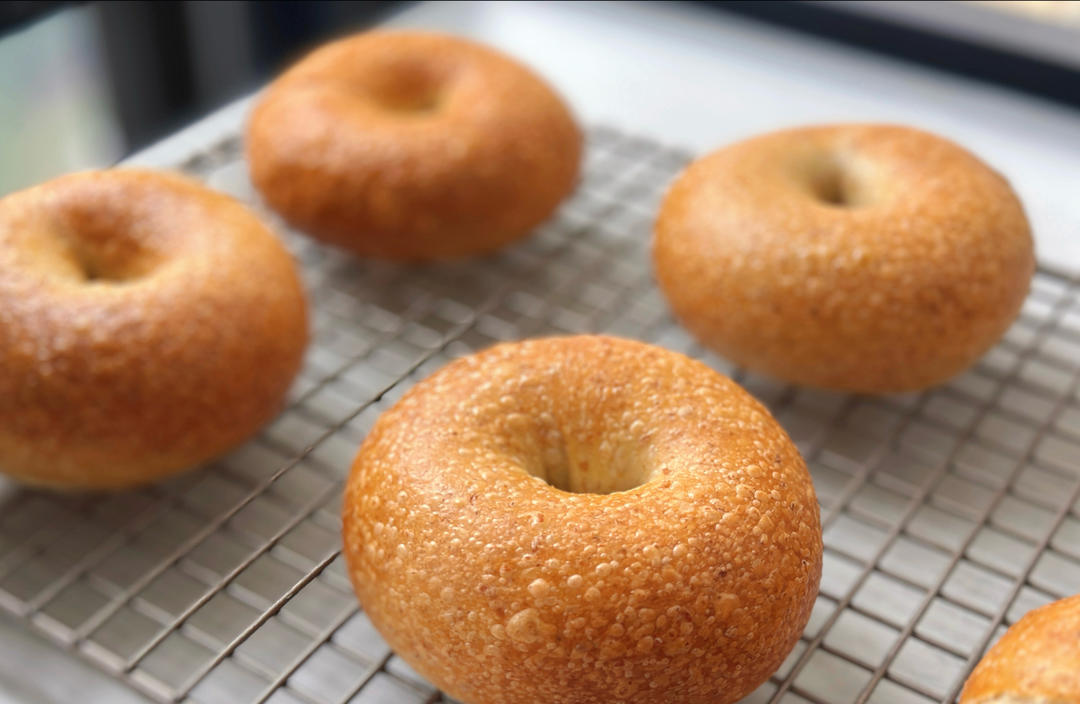 桂花气囊果干贝果