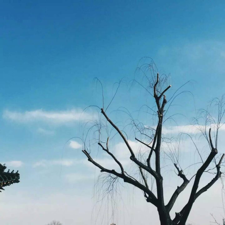 午后三点的厨房