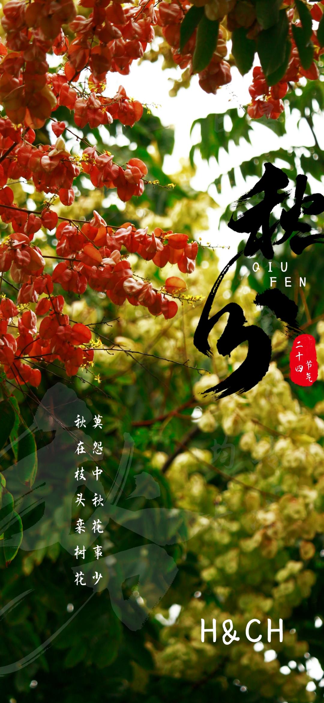 二十四节气的图