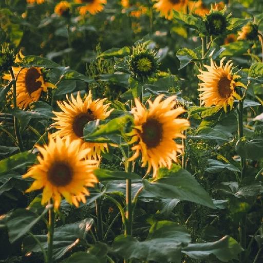 一今今天也很忙