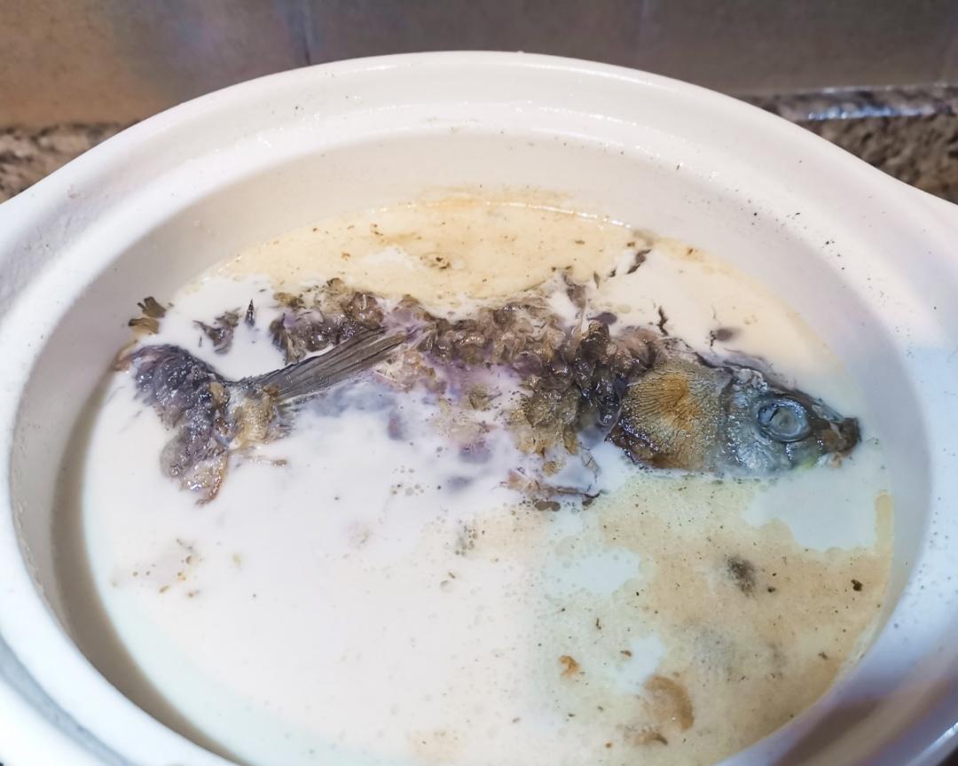 酸梅鲫鱼汤（孕期食谱）的做法