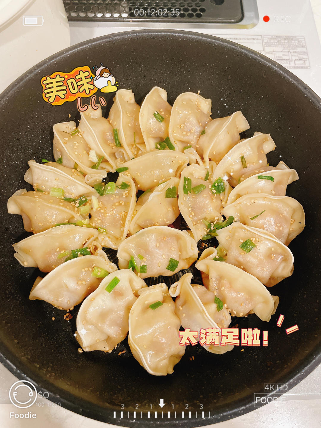 速冻饺子版煎饺