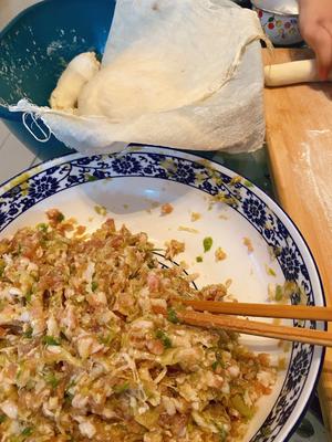 分享一个猪肉大葱馅儿的饺子馅儿做法的做法 步骤3