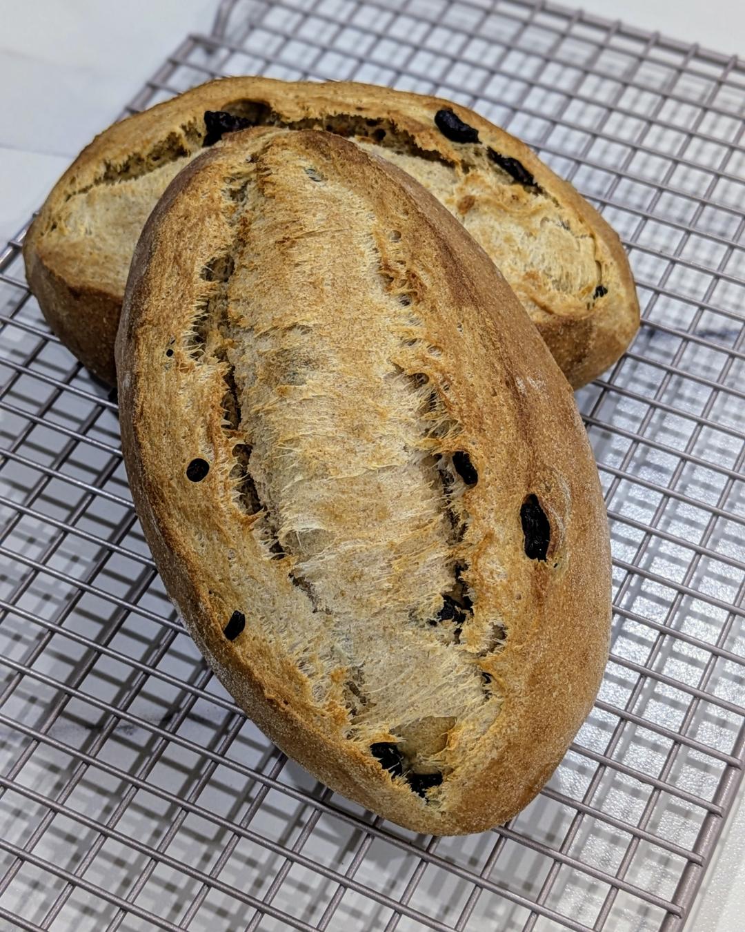 店售爆单🔥三天不变硬㊙️坚果全麦面包