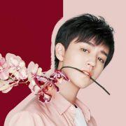 凯叔叔的怀中猫