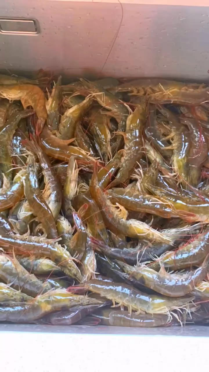 又囤了30斤虾🦐
