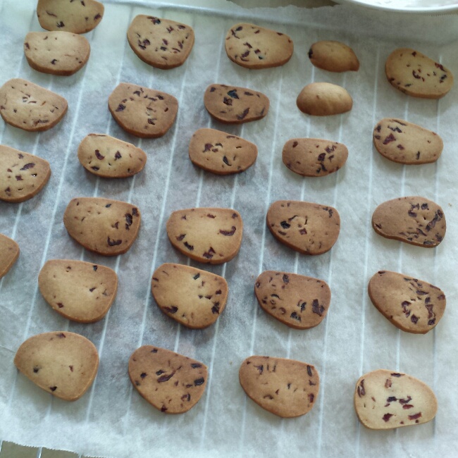 蔓越莓饼干