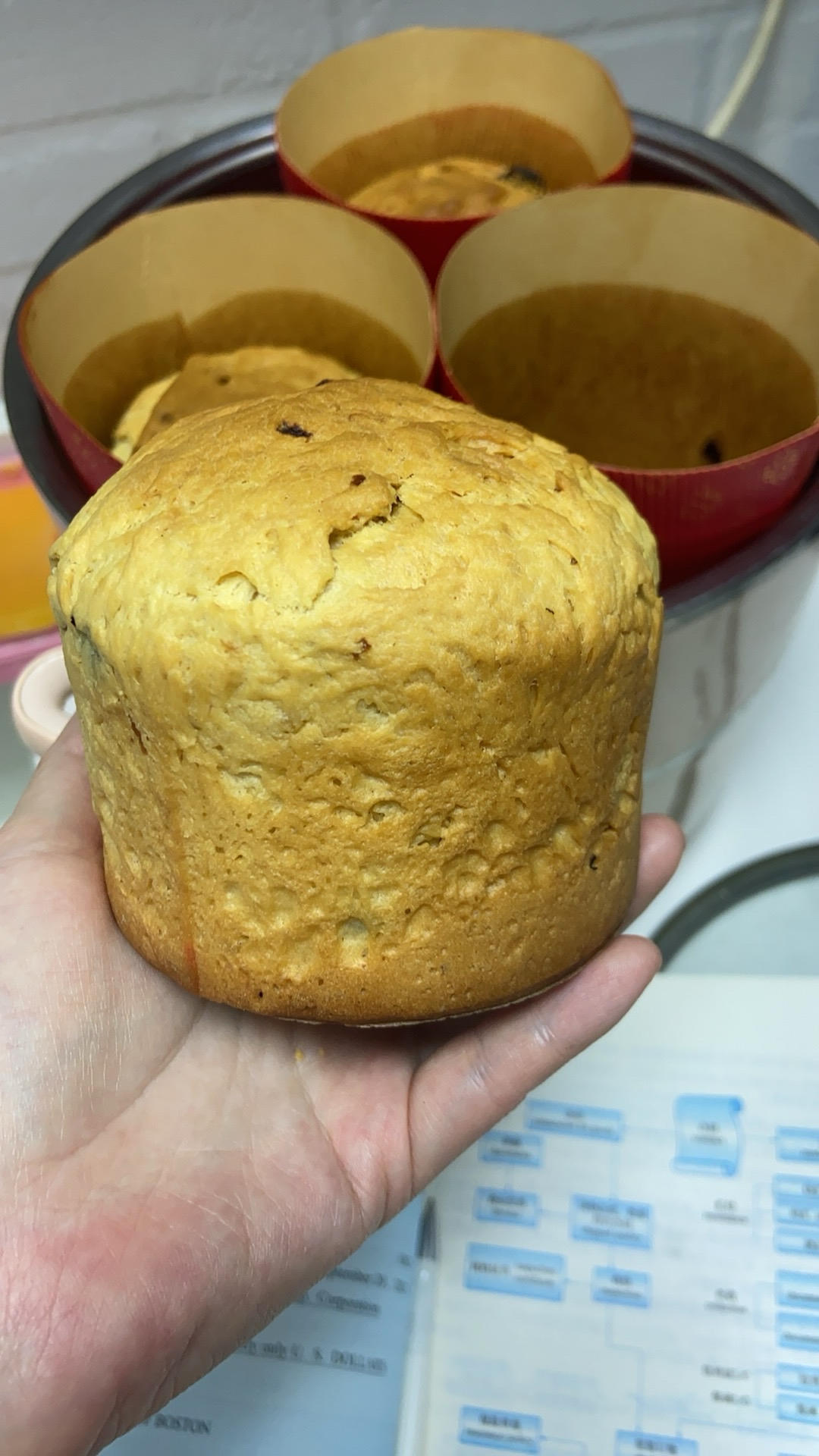 米兰式圣诞-潘妮托尼面包