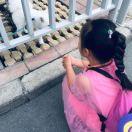 妹妹爱吃糖