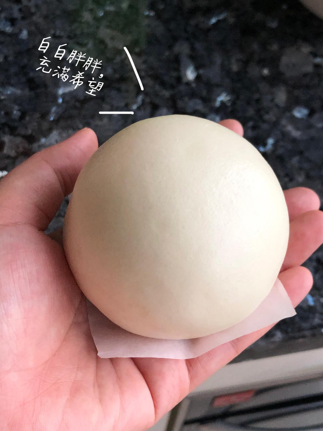 超好吃有豆豆的豆沙包，一次发酵（红豆包）