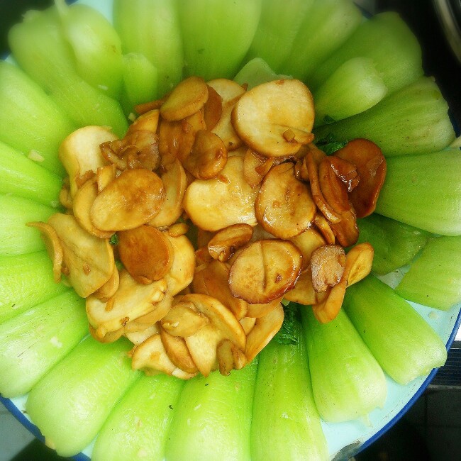 mizukiii做的小炒油菜杏鲍菇