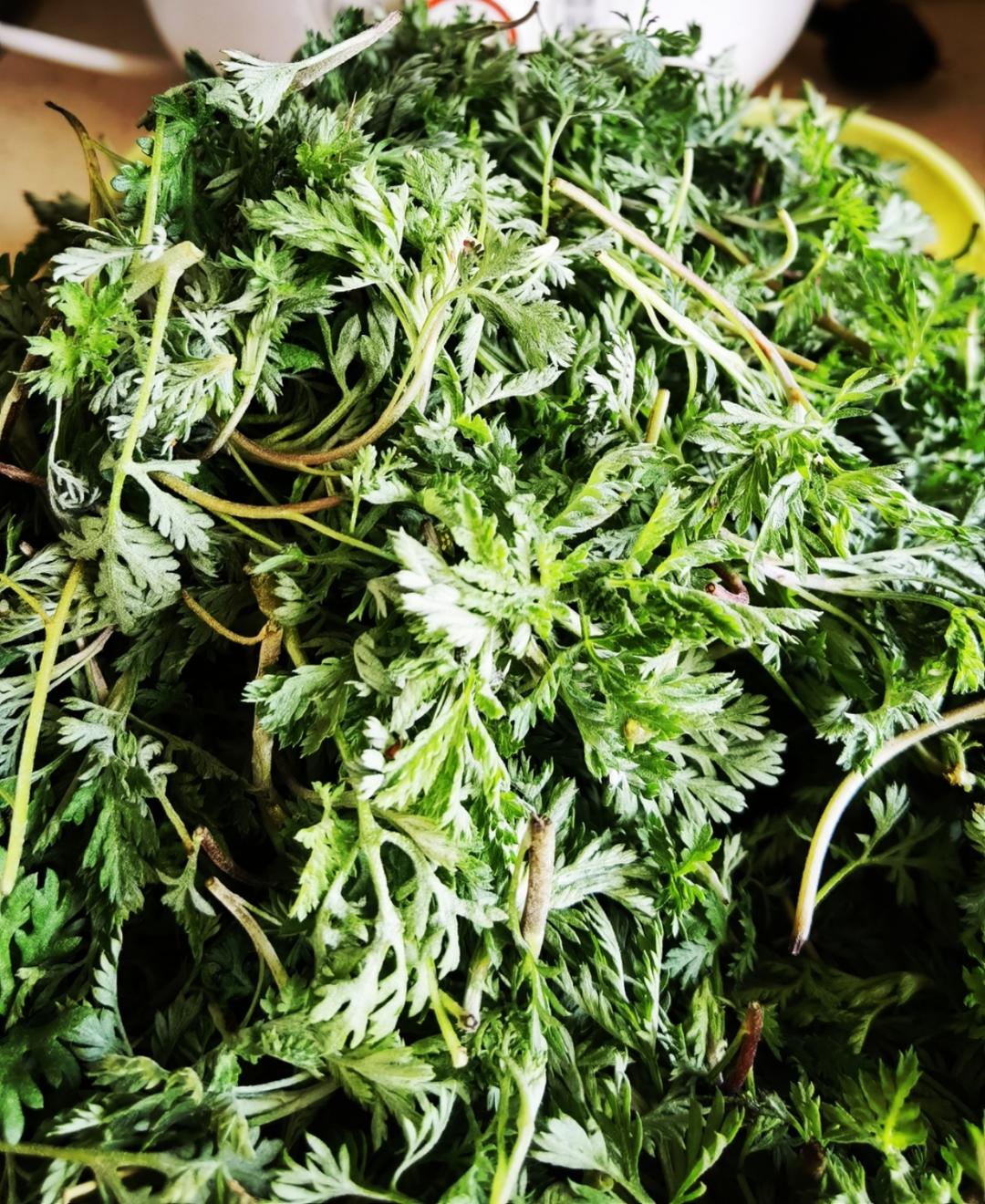 艾草青团、艾粑粑、艾糍、新鲜艾草制作