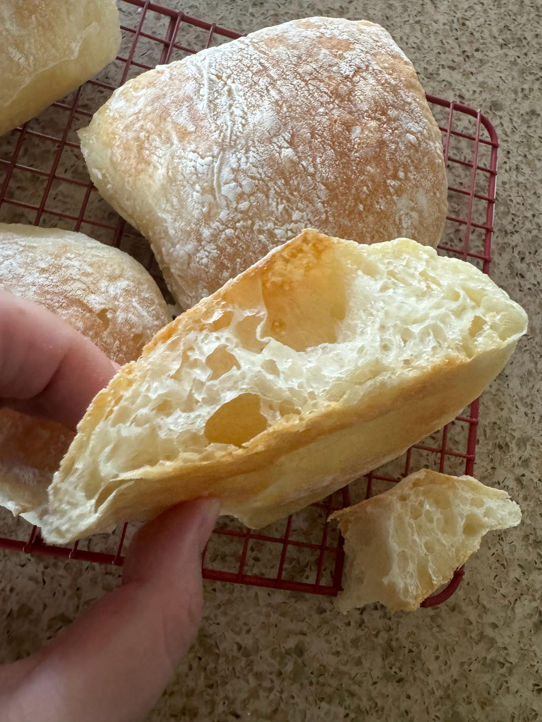 家庭版免揉～恰巴塔🥖｜一次成功超好吃