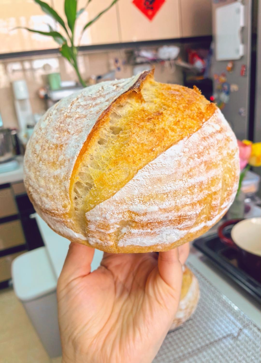 【Tartine Bread】天然酵种基础乡村欧包