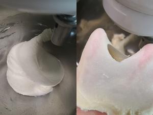 超柔牛奶棉花吐司（最详细的吐司食谱）的做法 步骤6
