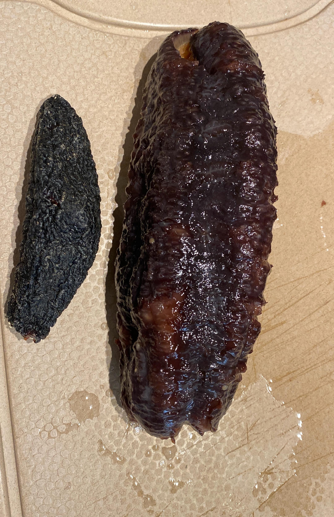 加拿大野生海参泡发