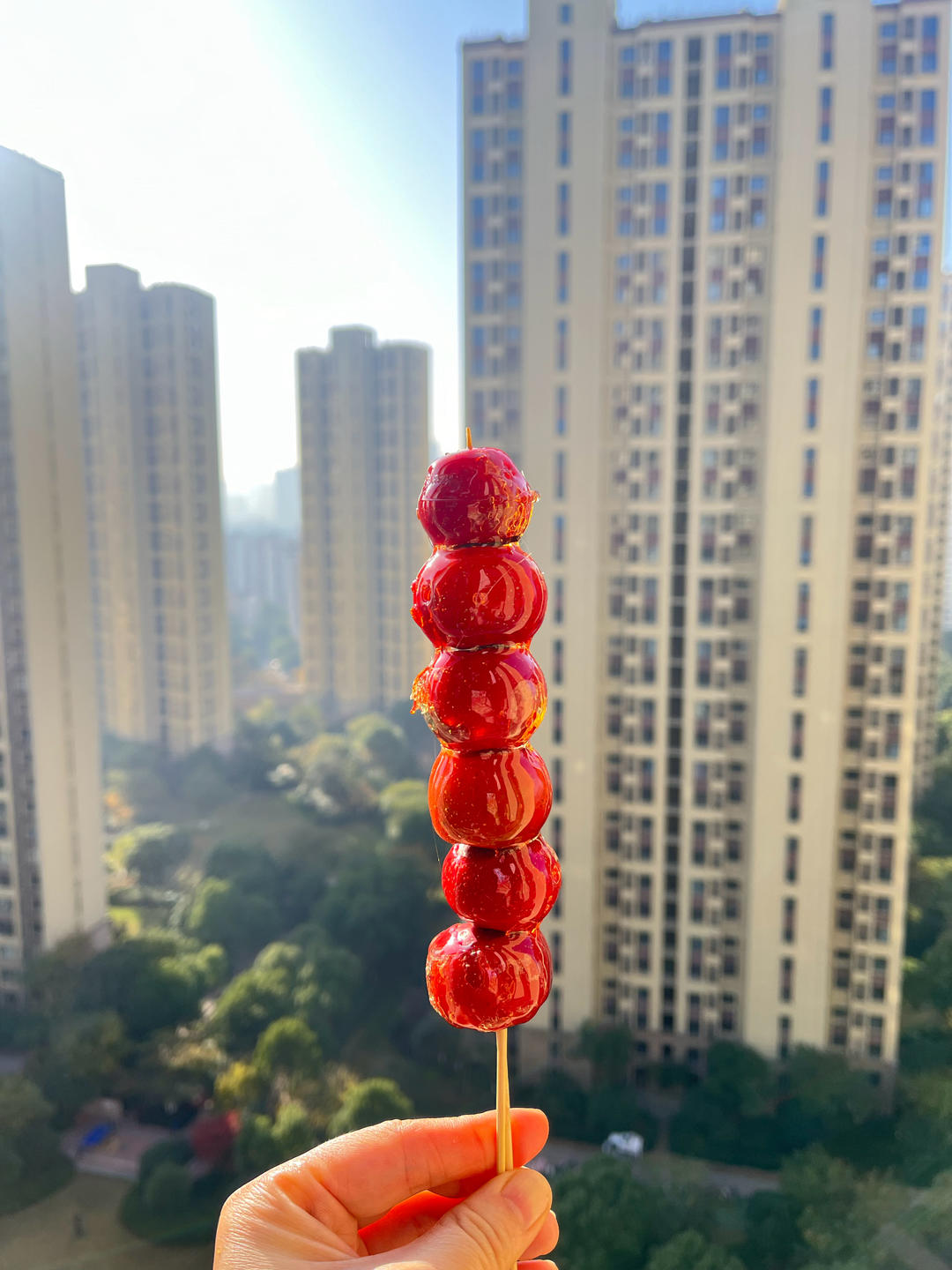 自制酸甜可口的冰糖葫芦