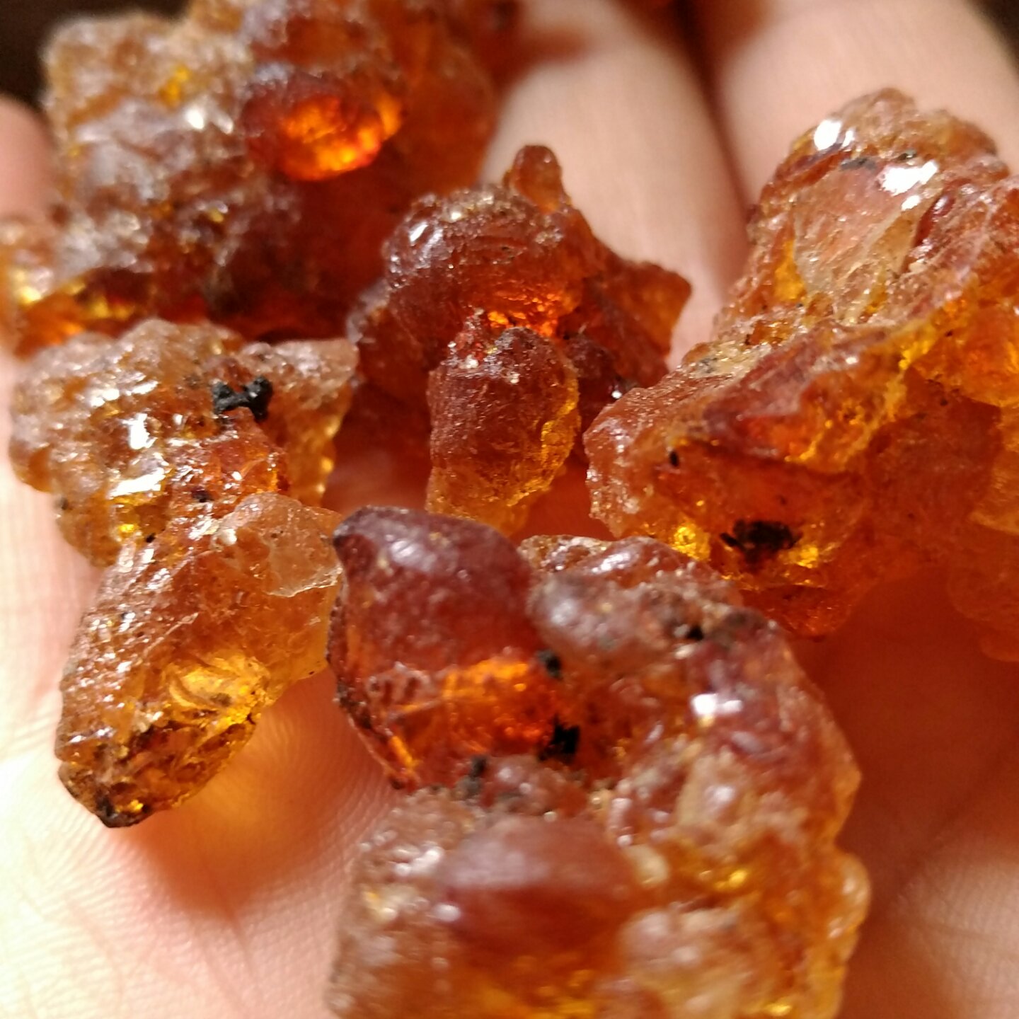 桃胶皂角米蔓越莓养颜羹