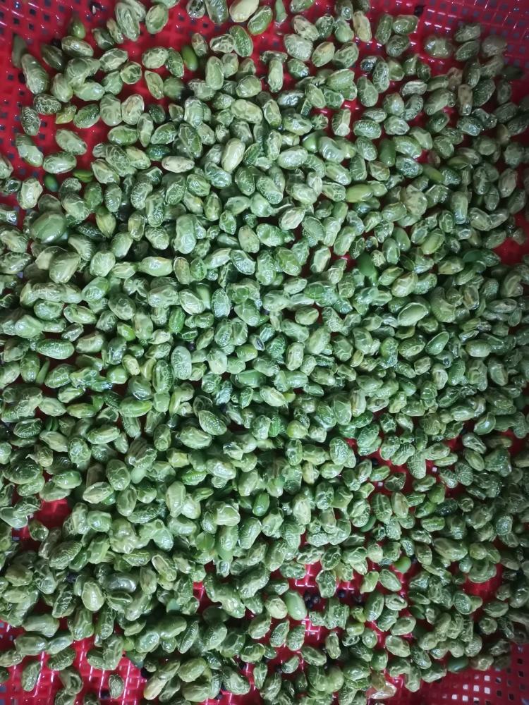 炙毛豆(咸味)烤箱版