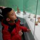 手机用户2306_68iu