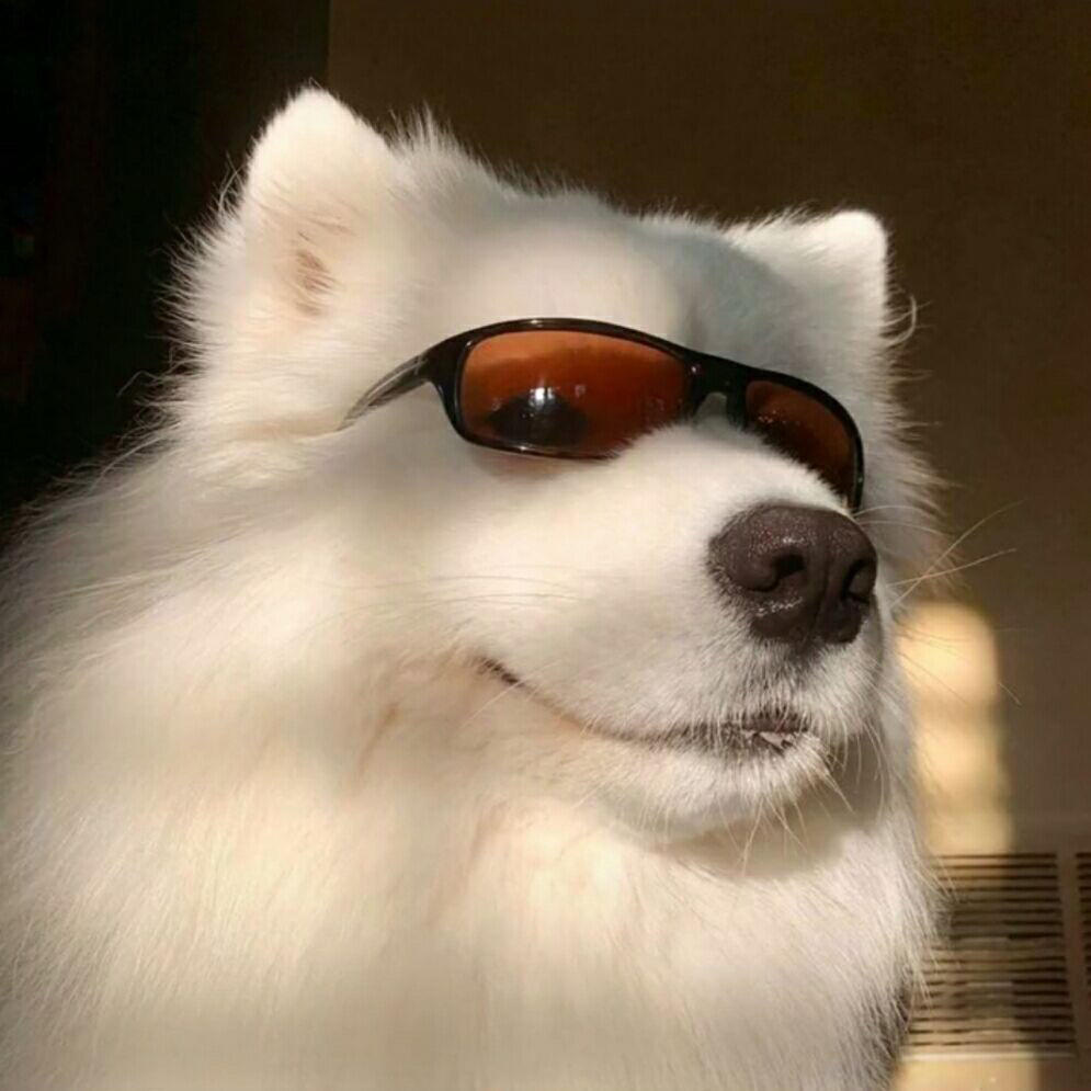 头文字歪