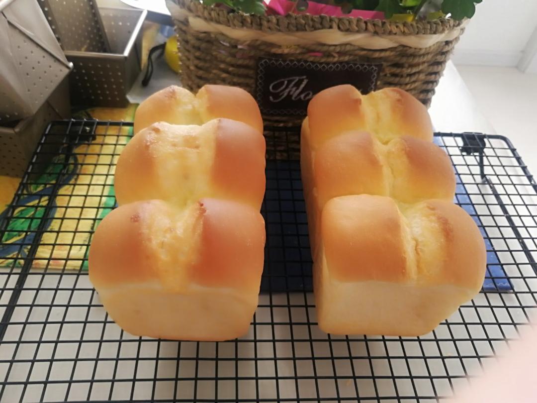 日式生吐司，软到不行，太好吃了😋