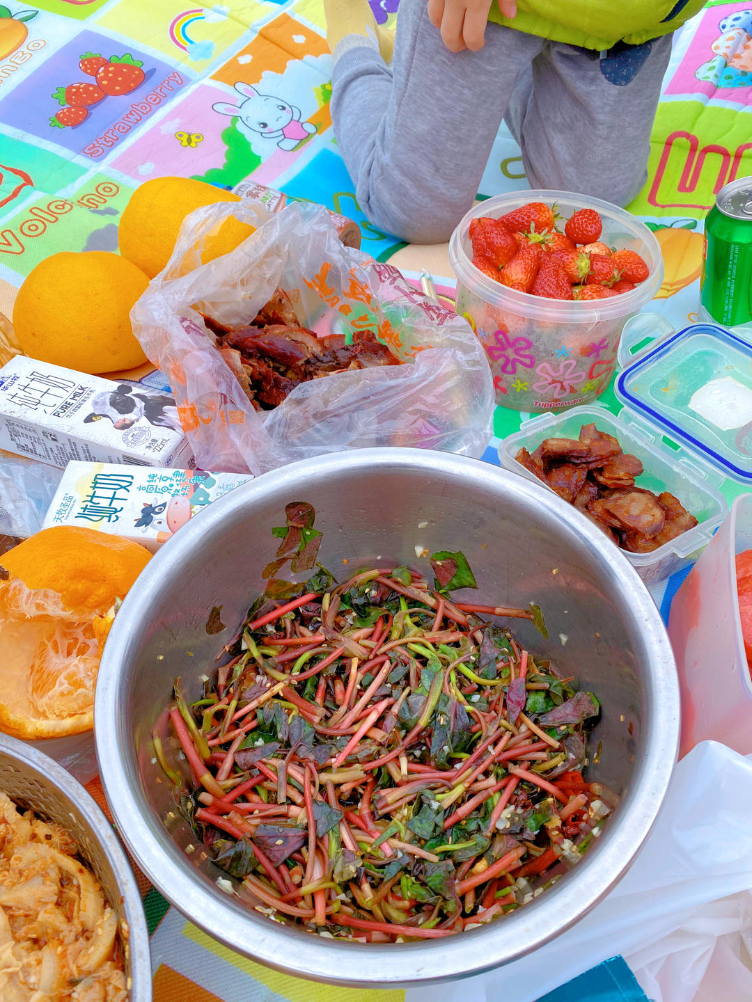 野餐