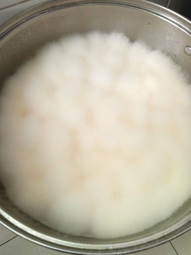 自制豆腐乳
