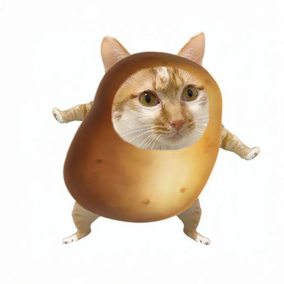 咩咩蟹黄堡