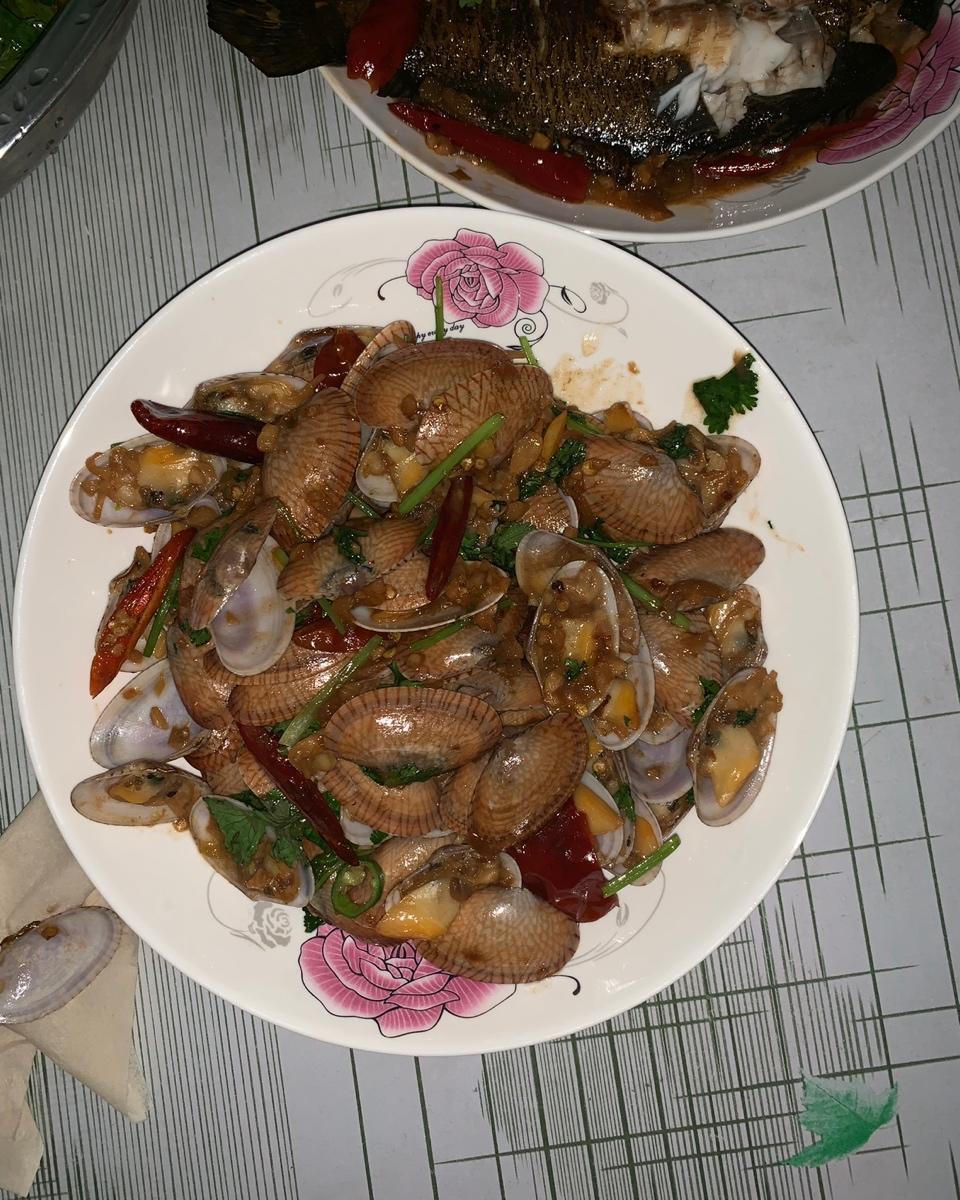 炒芒果螺
