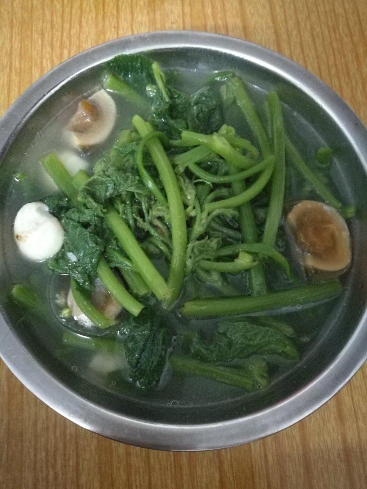 梨大美人做的南瓜苗瘦肉汤