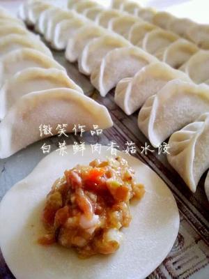 冬至的饺子中国的味道——白菜香菇鲜肉水饺详细做法的做法 步骤5