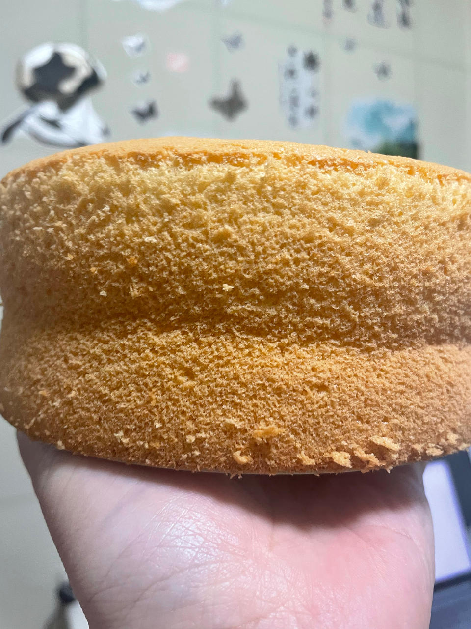 六寸戚风蛋糕(掌握这几点，做戚风就跟煮米饭一样简单)