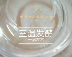 kombucha 红茶菌酿制甜橙醋的做法 步骤4