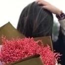 人才贝